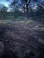 201 Deer Springs Loop - Photo 33