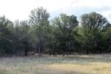 6020 Fm 3158 Highway - Photo 14