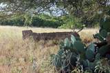 6020 Fm 3158 Highway - Photo 18