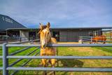3019 S Highway 16 - Photo 4