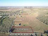 405 Black Ankle Rd - Photo 4