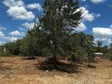 TBD Gaines Rd - Photo 13