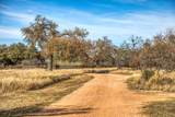 2969 County Road 422 - Photo 31