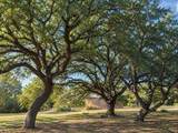 10201 Womack Dr - Photo 1
