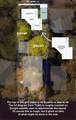 1507 1/2 Holly St - Photo 2