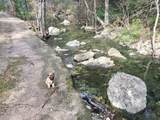 3211 Canter Ln - Photo 35