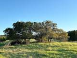 105 Majestic Hills - Photo 3