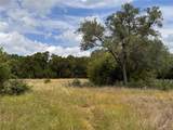 3317 Whitt Park Path - Photo 5
