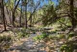 810 Crestone Stream Dr - Photo 32