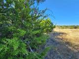 Lot 73 Shin Oak Dr - Photo 12