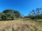 Lot 73 Shin Oak Dr - Photo 15