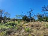 Lot 73 Shin Oak Dr - Photo 17