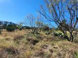 Lot 73 Shin Oak Dr - Photo 19