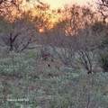 326 The Forest Rd - Photo 5