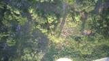 148 Rio Ranch Rd - Photo 6