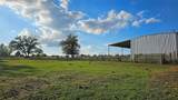 5280 County Road 320 - Photo 30