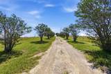 1151 County Road 458 - Photo 19