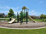1005 Sundrops St - Photo 35