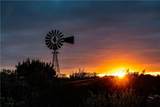 000 Leona Ranch Road - Photo 1