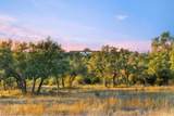 18700 Madrone Ranch Trail - Photo 13