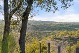 18700 Madrone Ranch Trail - Photo 28