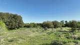 0 County Road 127 - Photo 16