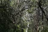 1135 Private Road 7039 - Photo 10