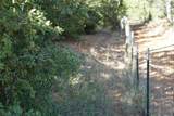 1135 Private Road 7039 - Photo 8