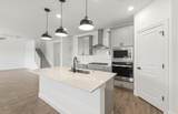 13313 Cerro Castellan Trce - Photo 8
