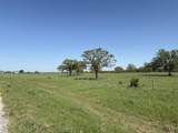 TBD 49.74 +/- Acres Tx-95 Highway - Photo 4