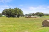 117 Hannah's Way - Photo 12