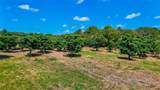 420 Blanco River Ranch Blvd - Photo 10