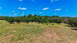420 Blanco River Ranch Blvd - Photo 11