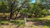 420 Blanco River Ranch Blvd - Photo 21