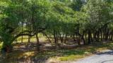 420 Blanco River Ranch Blvd - Photo 24