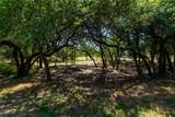 420 Blanco River Ranch Blvd - Photo 5