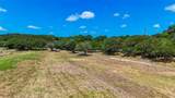420 Blanco River Ranch Blvd - Photo 8