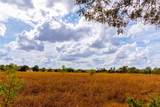 159 Brushy Creek Trl - Photo 10