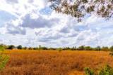 159 Brushy Creek Trl - Photo 11