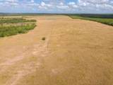 TBD County Road 446 - Photo 13