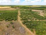 TBD County Road 446 - Photo 15