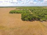 TBD County Road 446 - Photo 16