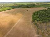 TBD County Road 446 - Photo 17