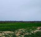 TBD County Road 446 - Photo 20