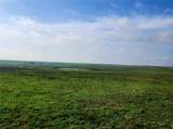 TBD County Road 446 - Photo 21