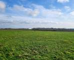 TBD County Road 446 - Photo 23