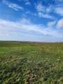 TBD County Road 446 - Photo 24