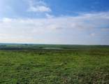 TBD County Road 446 - Photo 25