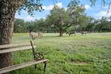 24900 Pedernales Canyon Trl - Photo 18