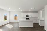 11725 Domenico Cv - Photo 9